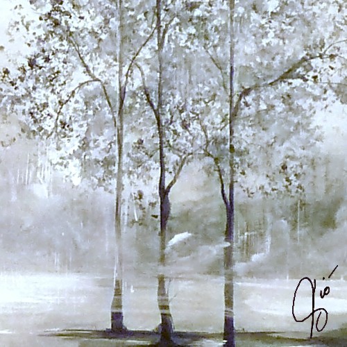alberi sotto la pioggia